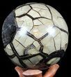 Polished Septarian Puzzle Geode - Black Crystals #57654-1